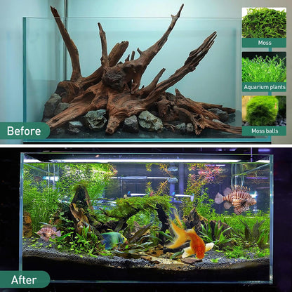 Natural Driftwood for Aquarium, Spider Wood Fish Tank Decor, Real Solid Wood Aquarium Driftwood for Aquascaping and Terrarium Décor (Mopani Driftwood 8 to 12 Inch