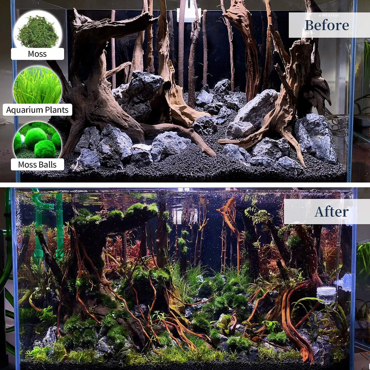 Natural Driftwood for Aquarium, Spider Wood Fish Tank Decor, Real Solid Wood Aquarium Driftwood for Aquascaping and Terrarium Décor (Mopani Driftwood 8 to 12 Inch