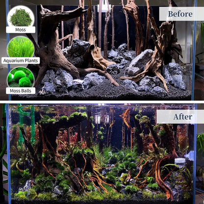 Natural Driftwood for Aquarium, Spider Wood Fish Tank Decor, Real Solid Wood Aquarium Driftwood for Aquascaping and Terrarium Décor (Mopani Driftwood 8 to 12 Inch